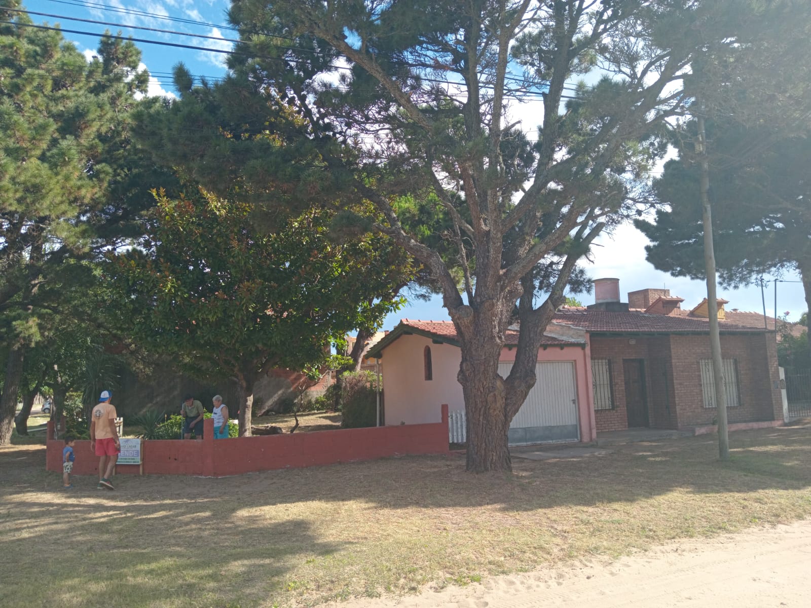 Imagen 1